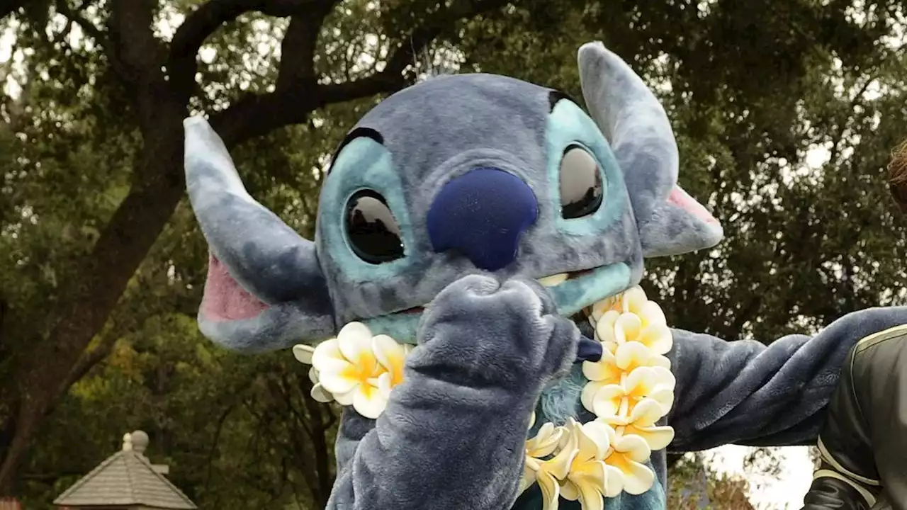 Original Stitch voice actor in talks for remake