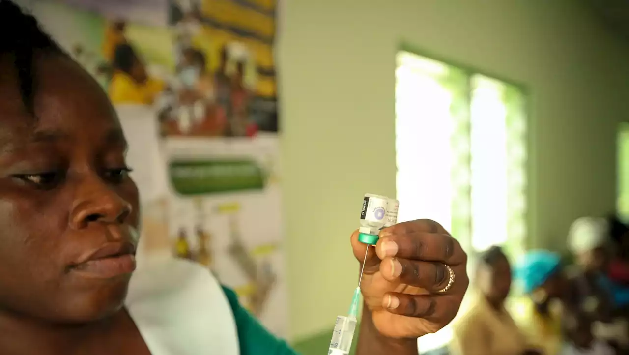 FG: Malaria vaccine approved by WHO to be in Nigeria by 2024 | TheCable