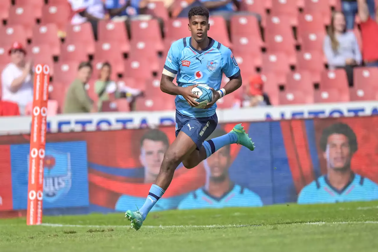 Moodie, Arendse, Nohamba pushing hard for Bok starting spots | The Citizen