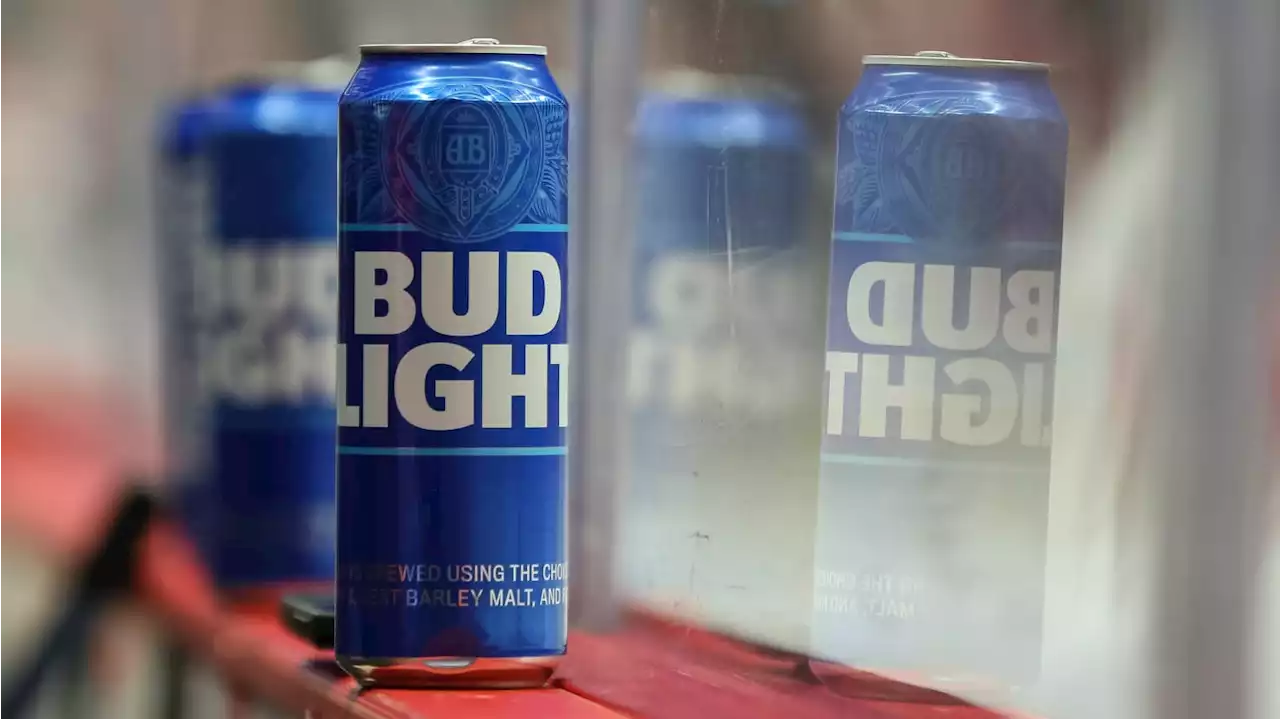 Bud Light Sales Take Huge Hit, Fueled by Anti-Trans Hysteria