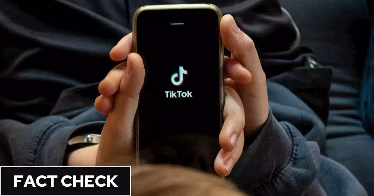 A TikTok hoax about 'National Rape Day' has resurfaced - here's how to report content