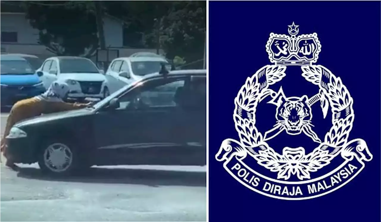 [Watch] Woman Trying To Block Moving Car At Port Dickson Traffic Light Earns Cops' Attention | TRP