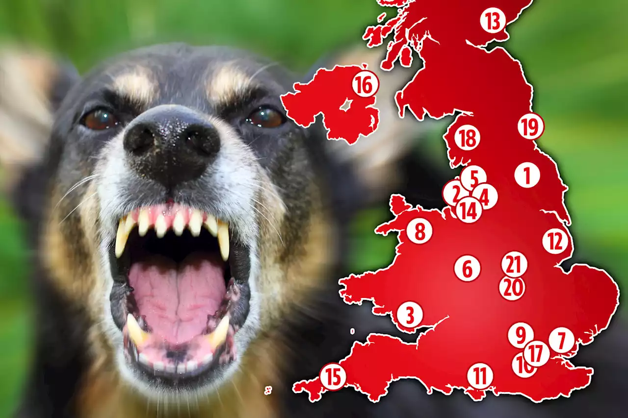 Map reveals UK’s most dangerous areas for fatal dog attacks