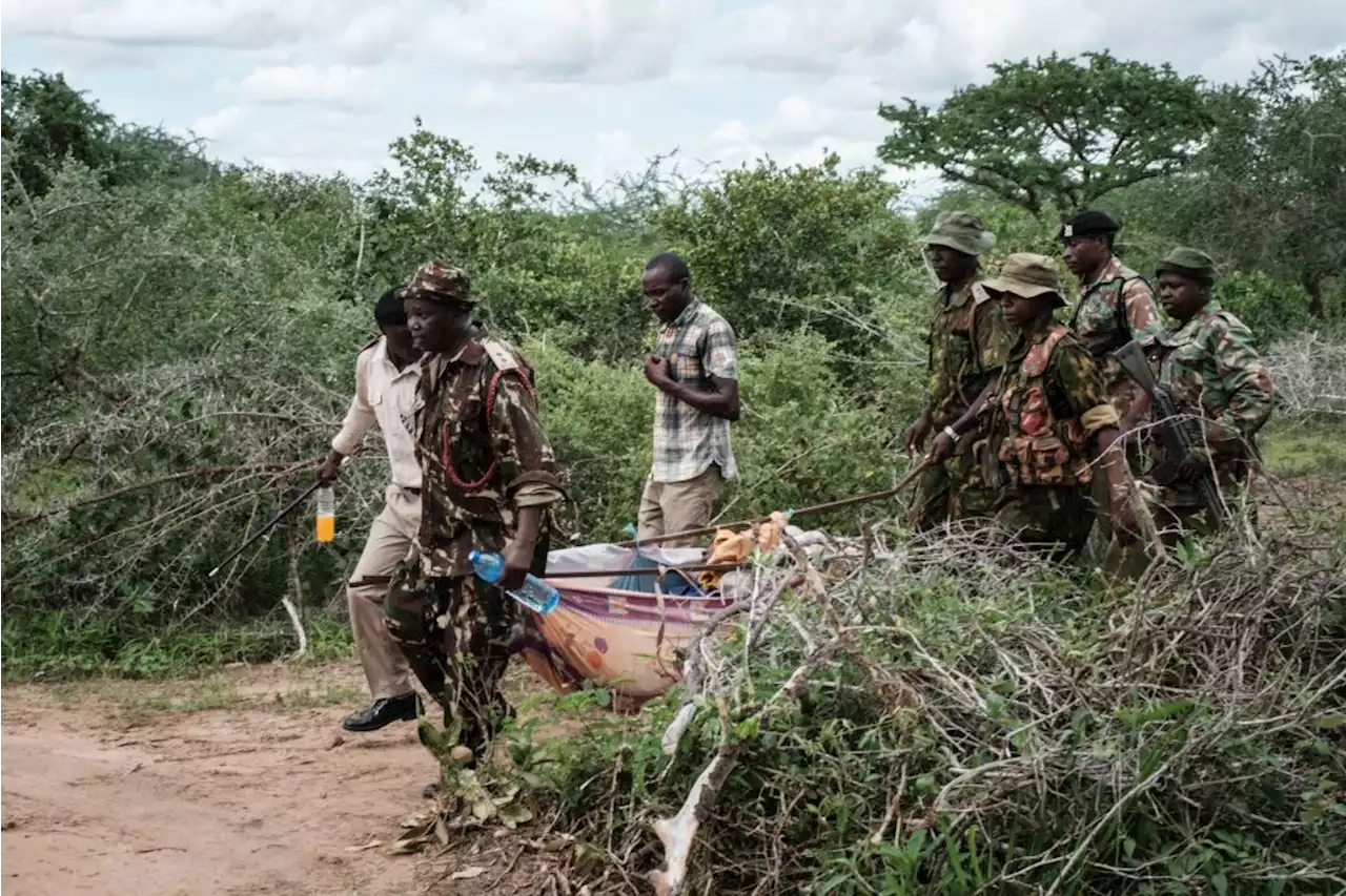 39 bodies dug up in Kenya after pastor told followers to starve themselves to meet Jesus