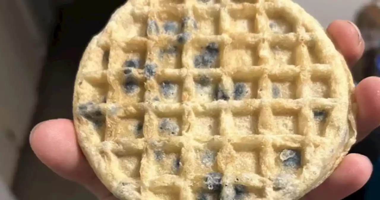 This ‘blueberry’ waffle has gone viral for a berry awful reason