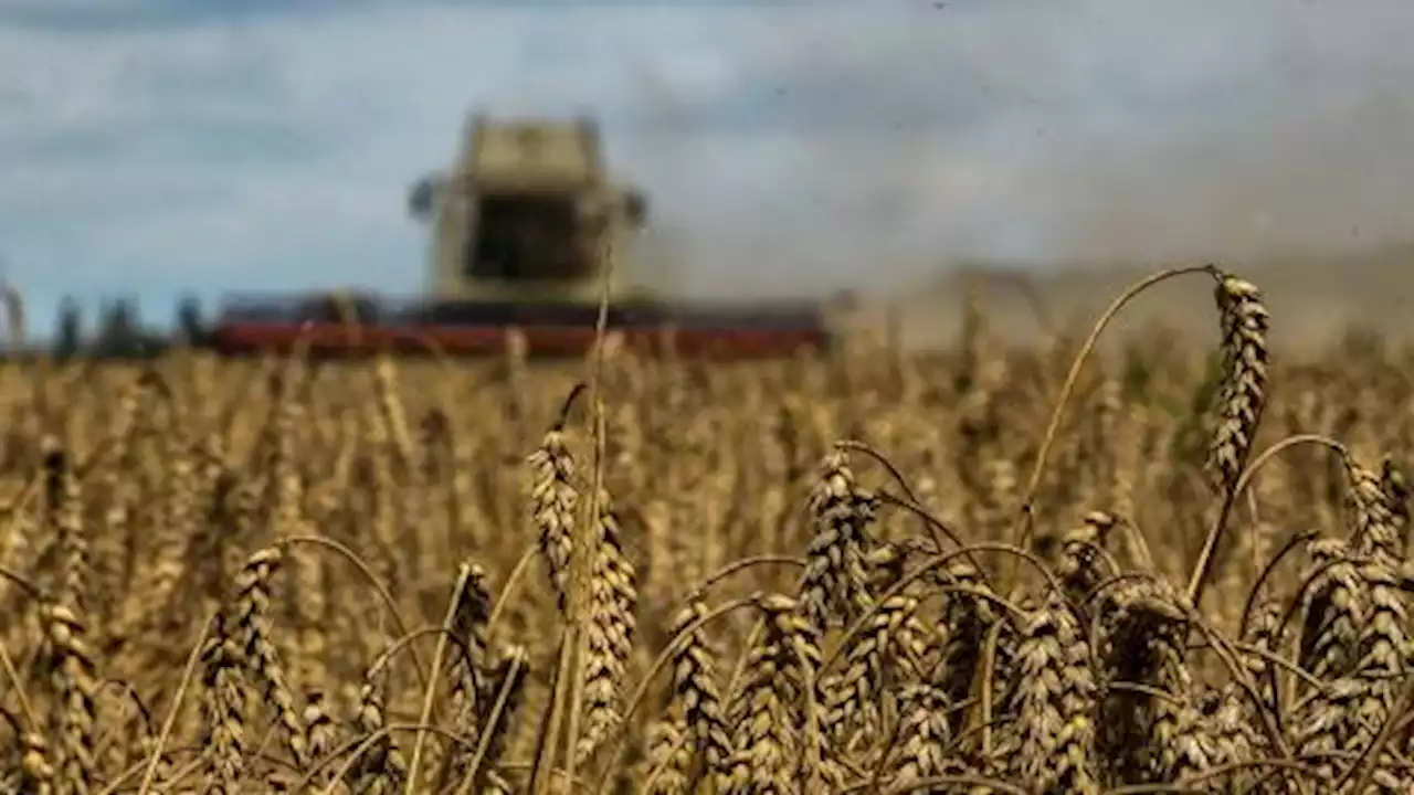 UN chief proposes 'way forward' for Ukraine grain initiative