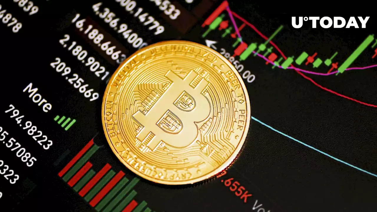 IIF Analyst Sheds Light on Bitcoin's Fall