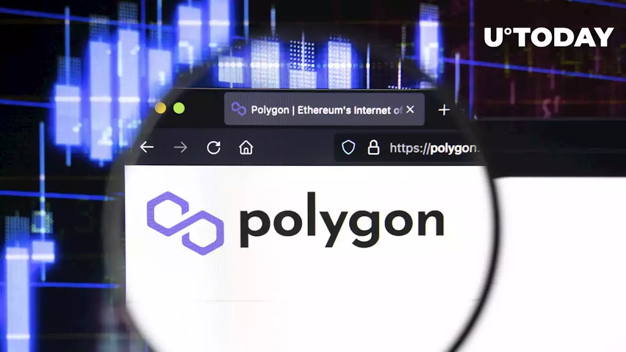 Polygon (MATIC) Records Largest Token Shift by Whales on Network in 2023