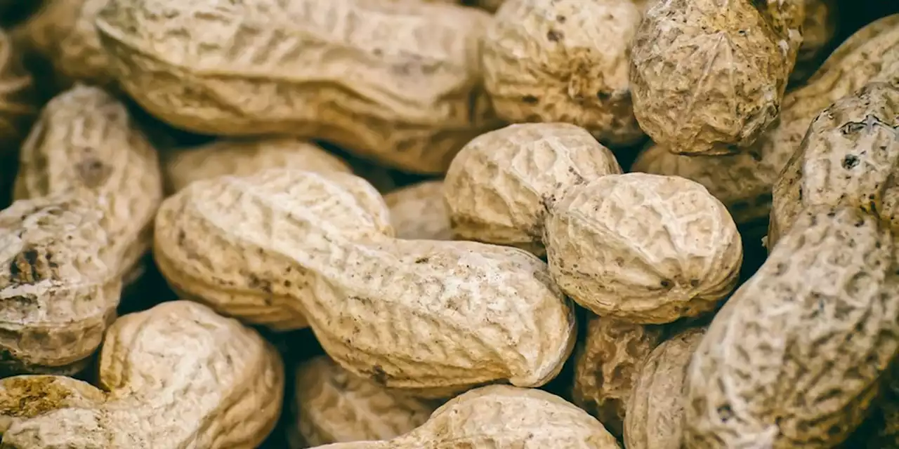 Peanut farmers have smaller window to plant for 2023 season