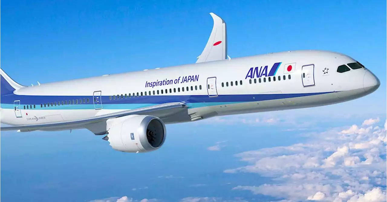 All Nippon Airlines dishonours flights sold at discounted price due to technical glitch