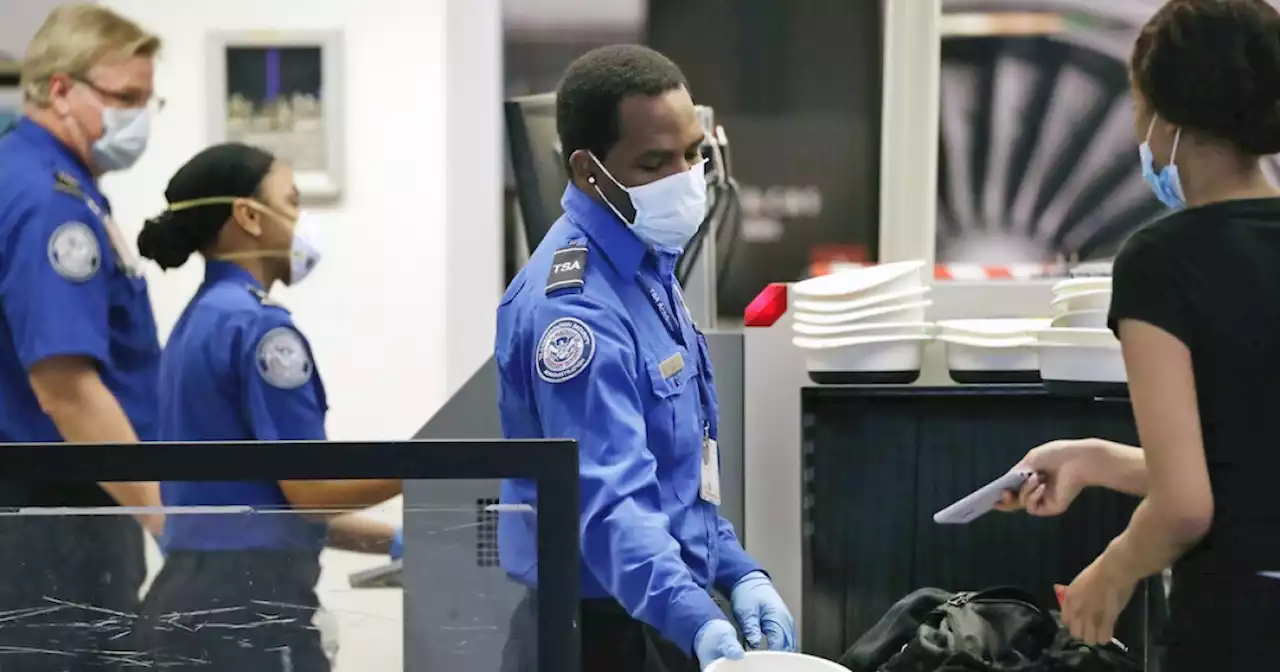 Three TSA officers attacked, injured at Phoenix Sky Harbor Airport