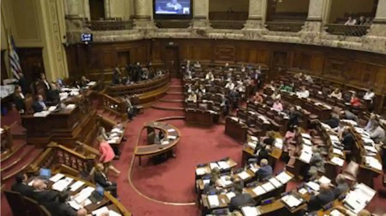 Diputados dio media sanción a la resistida reforma previsional de Lacalle Pou