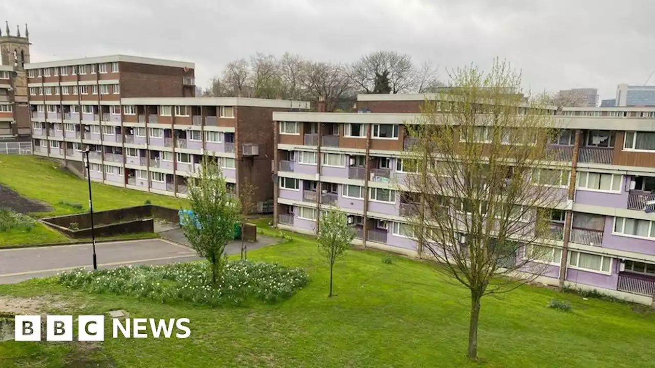 Sheffield doctor's concern over mould and damp in toddler's home