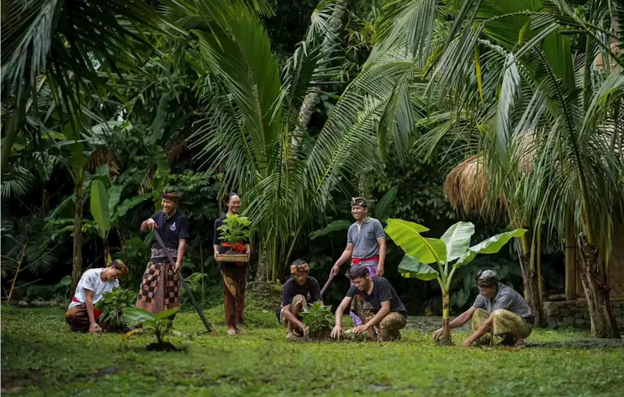 Dukung Pertanian Regeneratif, The Apurva Kempinski Bali Gandeng Samsara Living Museum