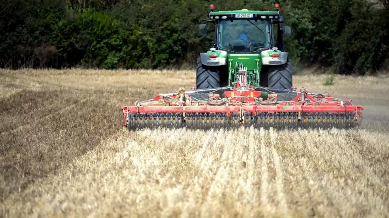 Sécheresse: les récoltes espagnoles en danger, faut-il s'inquiéter pour l'agriculture française?