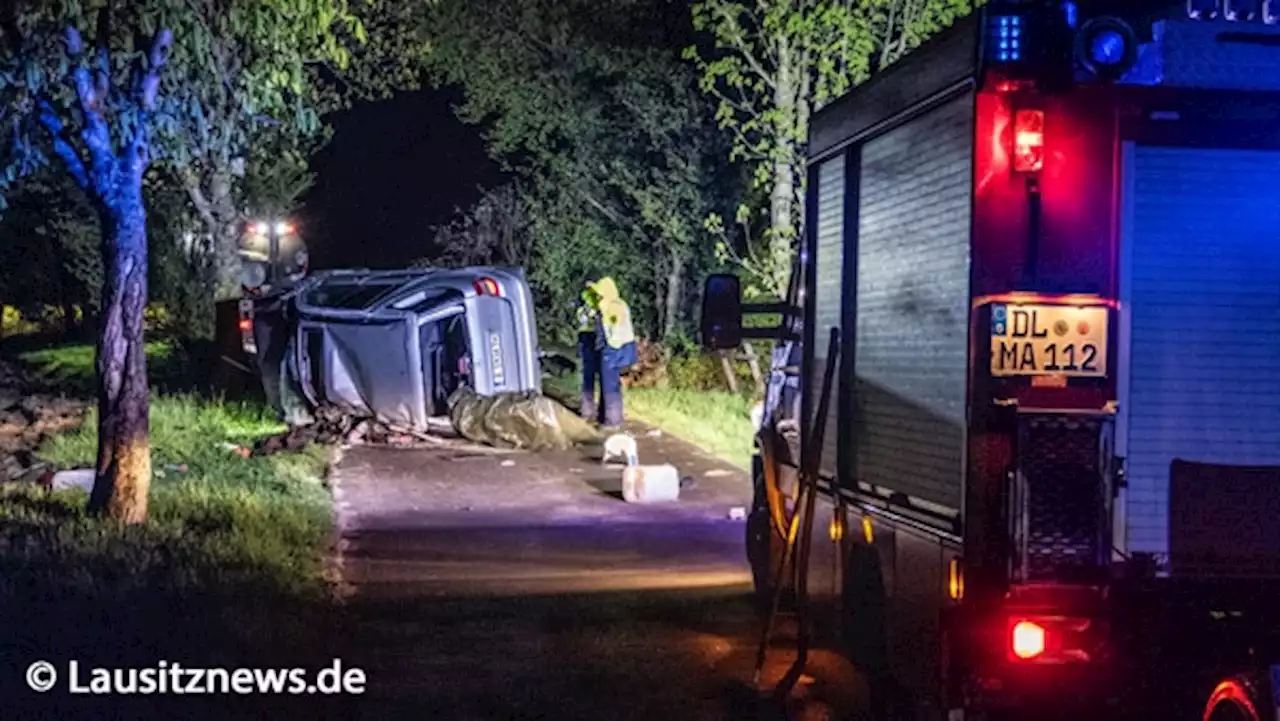 Mercedes A-Klasse fällt Straßenbaum