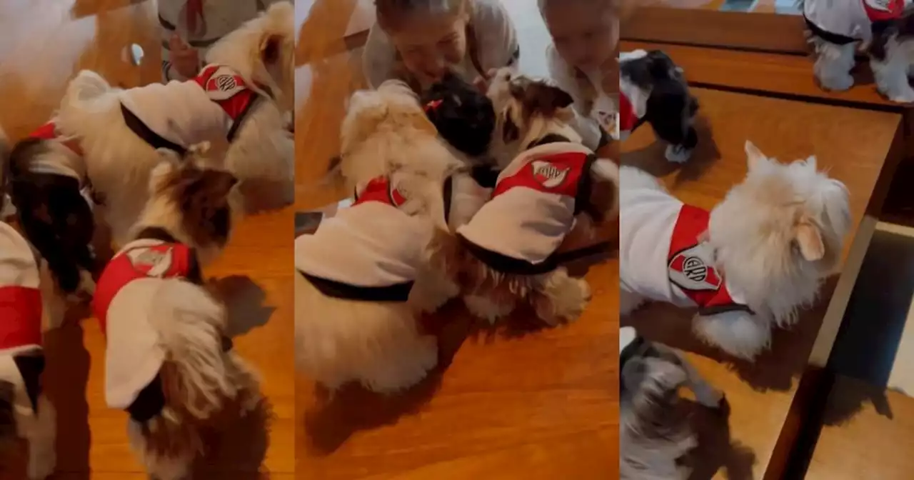 Video: en la casa de Demichelis, hasta los perros son de River