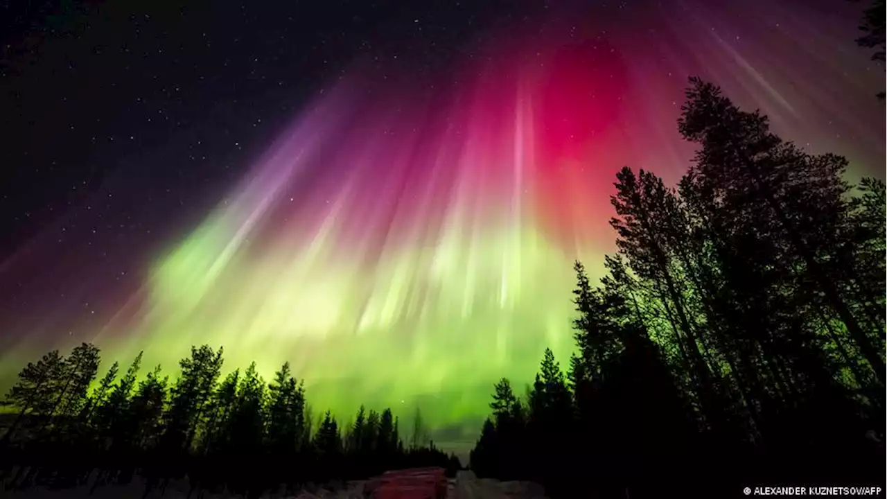 Polarlichter: Mystisches Spektakel am Himmel | DW | 26.04.2023