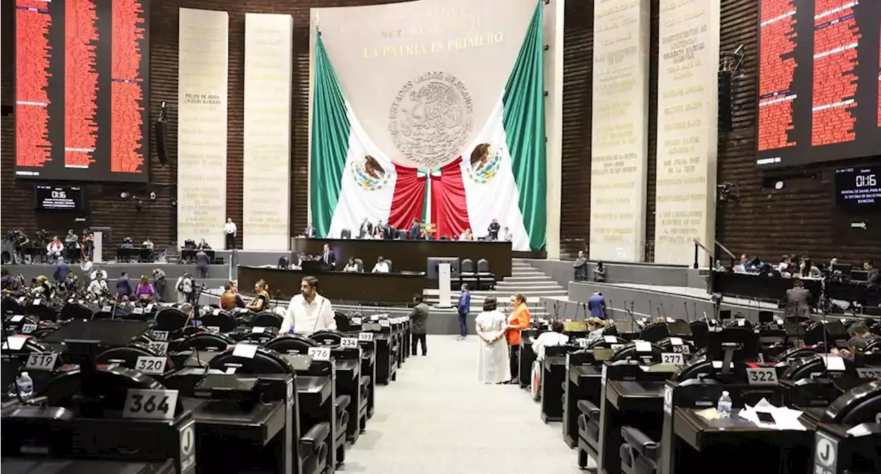 Diputados inician debate de reforma de AMLO que faculta a SFP para contratar bienes y servicios