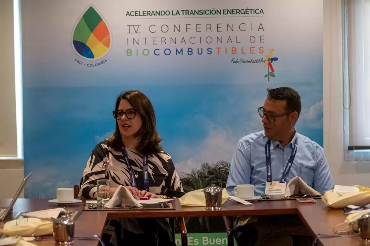 “Necesitamos incentivos que ayuden a la descarbonización de la movilidad”