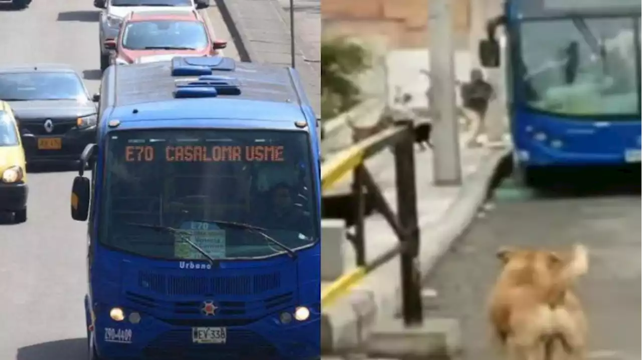 Transmilenio: en video, un bus del SITP fue destruido por un pasajero enojado