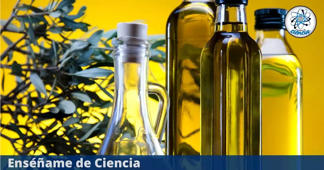 Estas son las mejores marcas de aceite de oliva según PROFECO, compra de forma inteligente