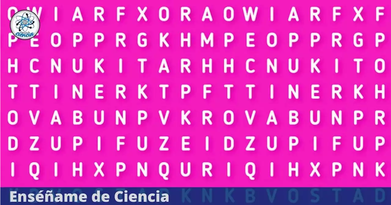 Localiza la palabra “CONCHA” en segundos; solo unos cuantos resolvieron el acertijo visual