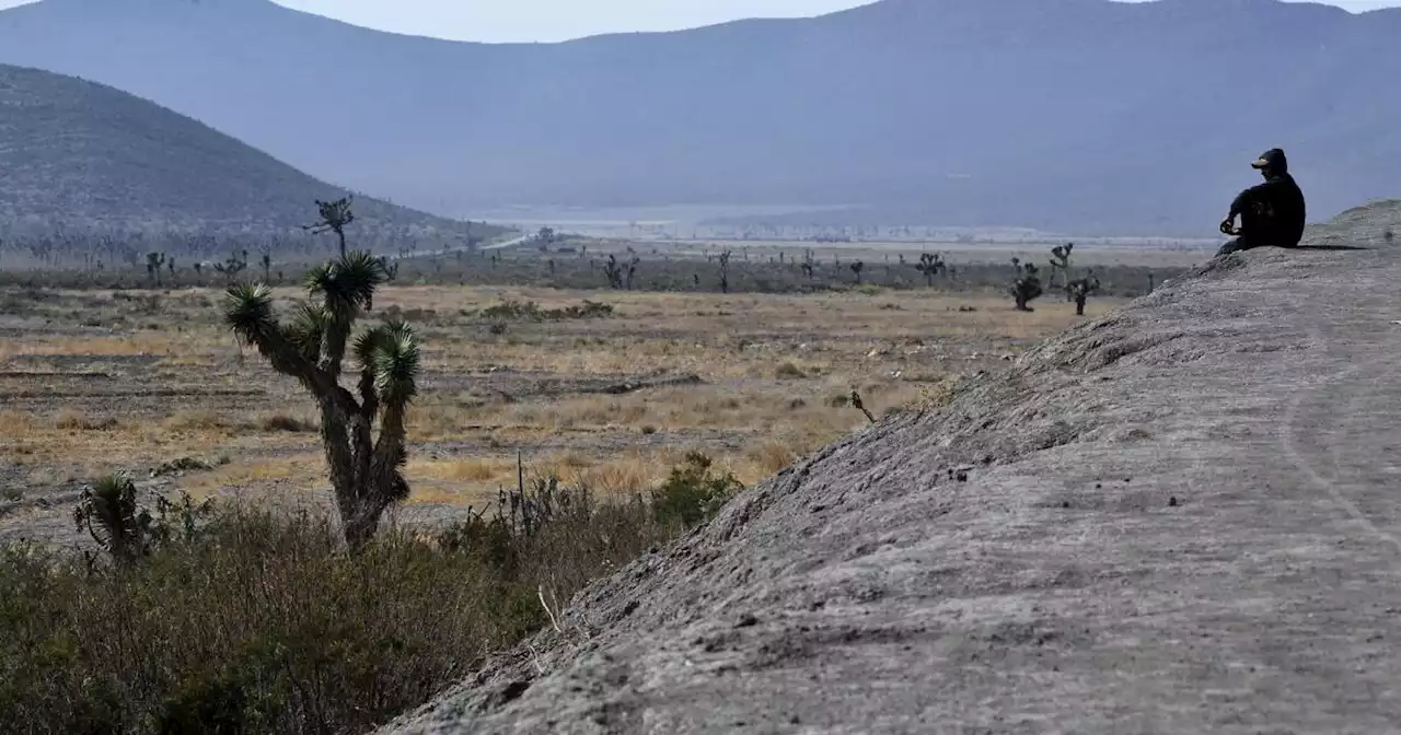 Iniciativa de AMLO también busca desaparecer al Instituto Nacional de Ecología