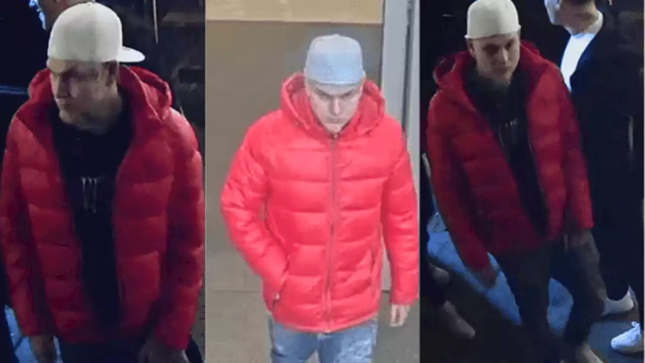 Seattle Police looking for man who stole woman's purse in Ballard