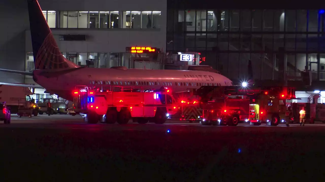 TRAVEL TROUBLES: 2 United flights return to Bush Intercontinental Airport due to possible bird strikes