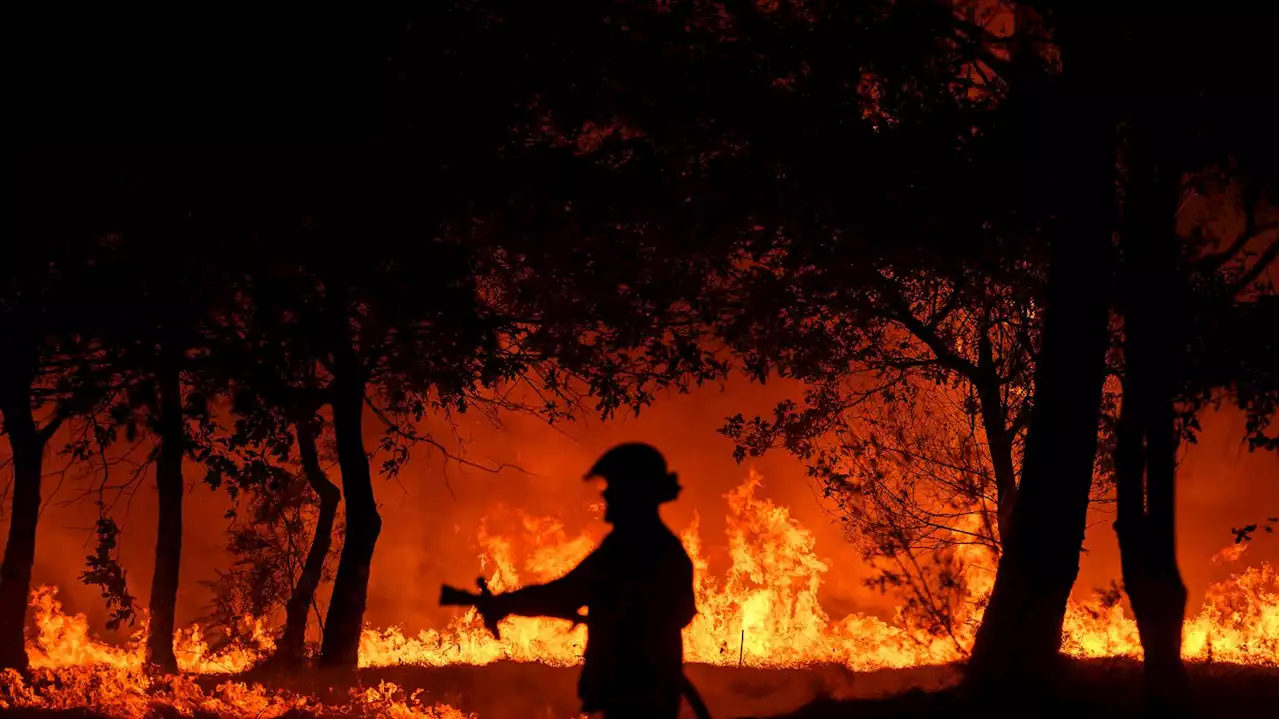 Incendies : comment va fonctionner la nouvelle carte 'météo des forêts' de Météo France ?