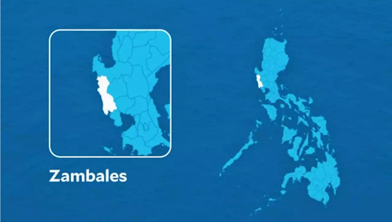 Aerial intruder entered Zambales area during Balikatan drill — official