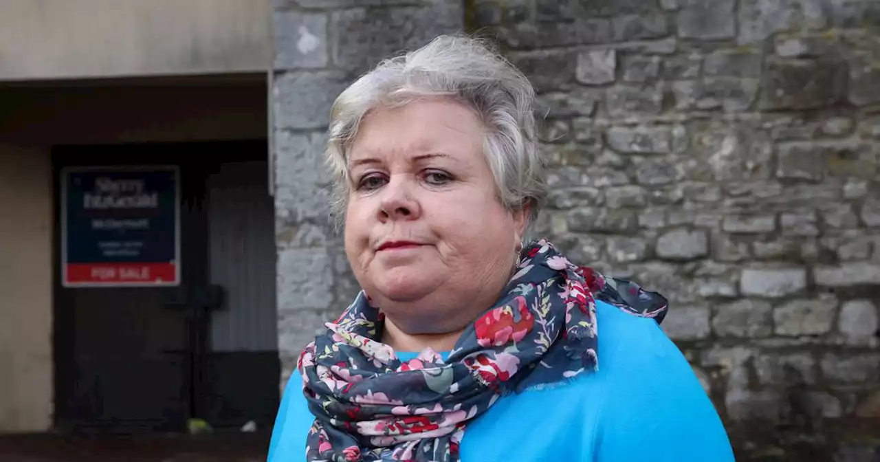 Staff member attacked in Kildare constituency office, says Sinn Féin TD