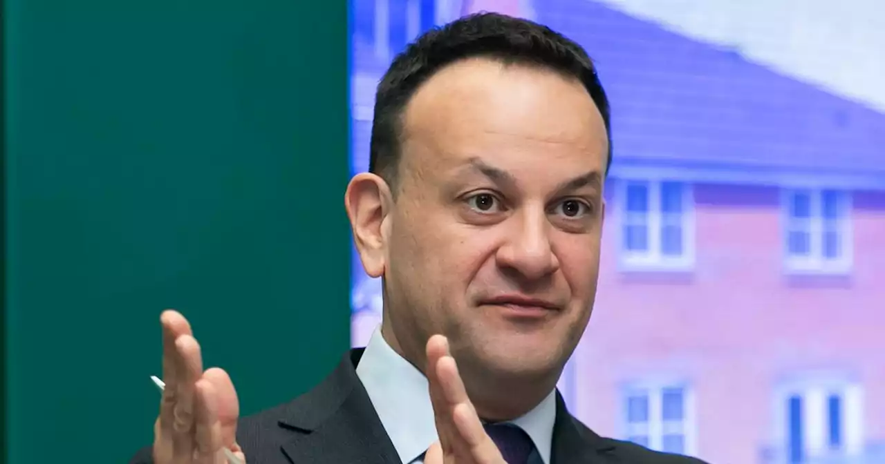 Varadkar’s dead wallaby defence buys Niall Collins no time for a break