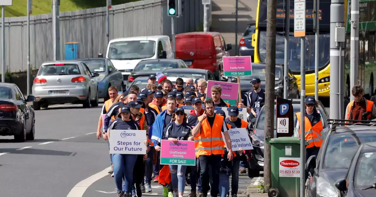 ‘We want a future in rural Ireland’: Macra farmers walk 79km to Dáil in protest