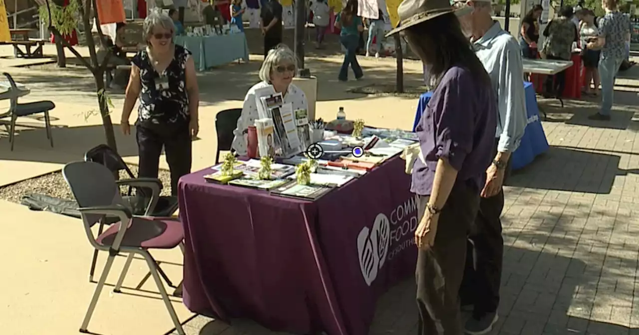 Take Back the Night Tucson brings together survivors of sexual violence