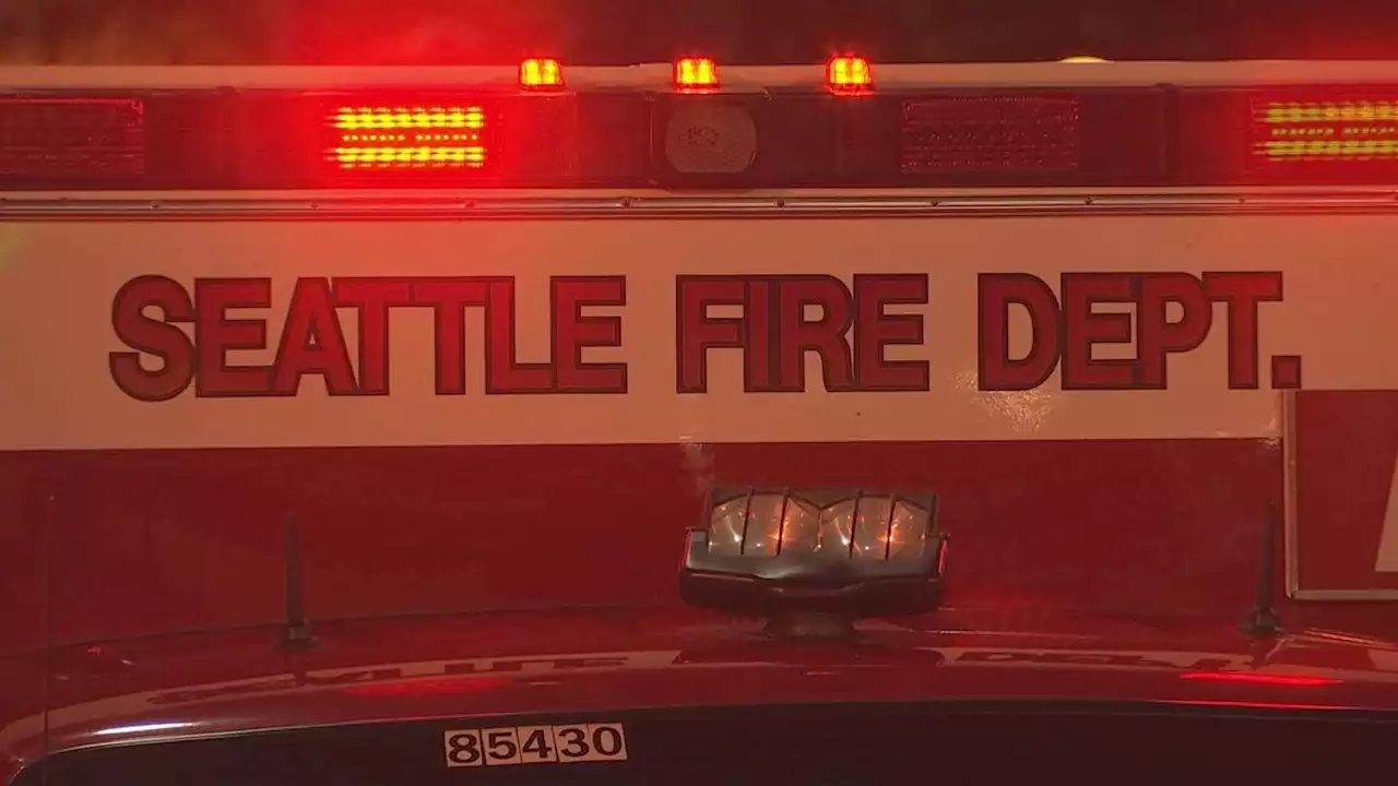 Seattle mulls firefighter protections amid reports of people ‘aggressively interfering’ on calls