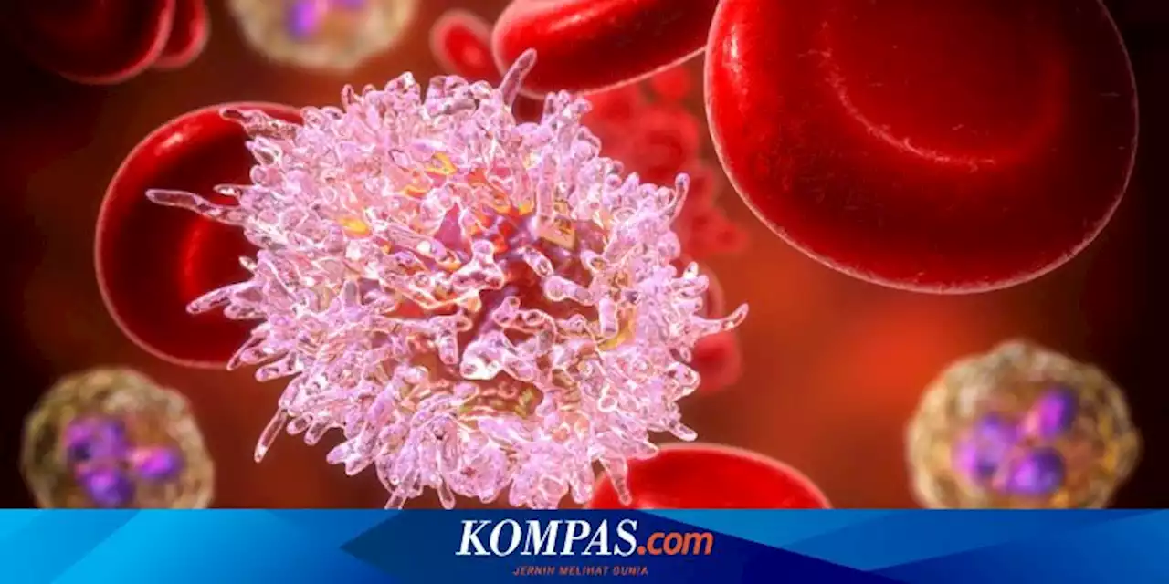 8 Jenis Leukemia yang Harus Diwaspadai