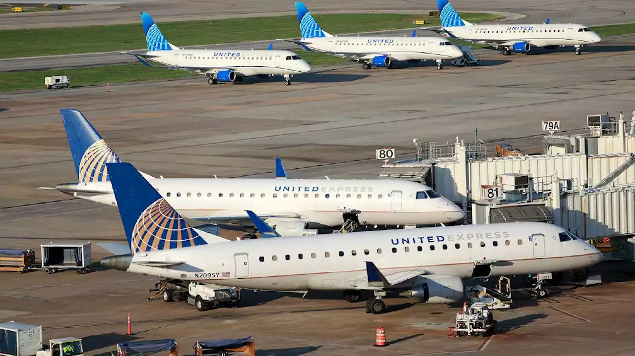 2 flights departing Houston report bird strikes within 20 minutes of each other