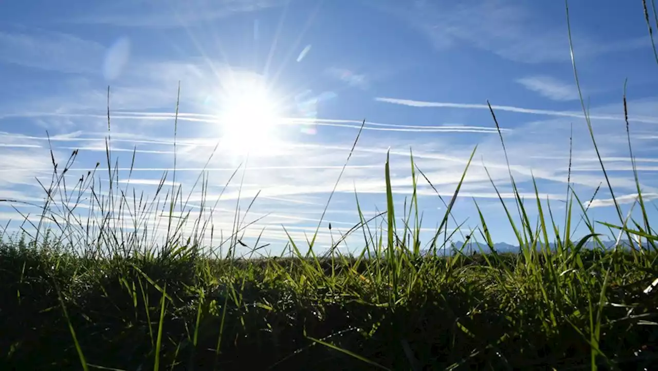 Météo : précipitations, chaleur... à quoi faut-il s'attendre ces trois prochains mois ? Météo France donne ses prévisions