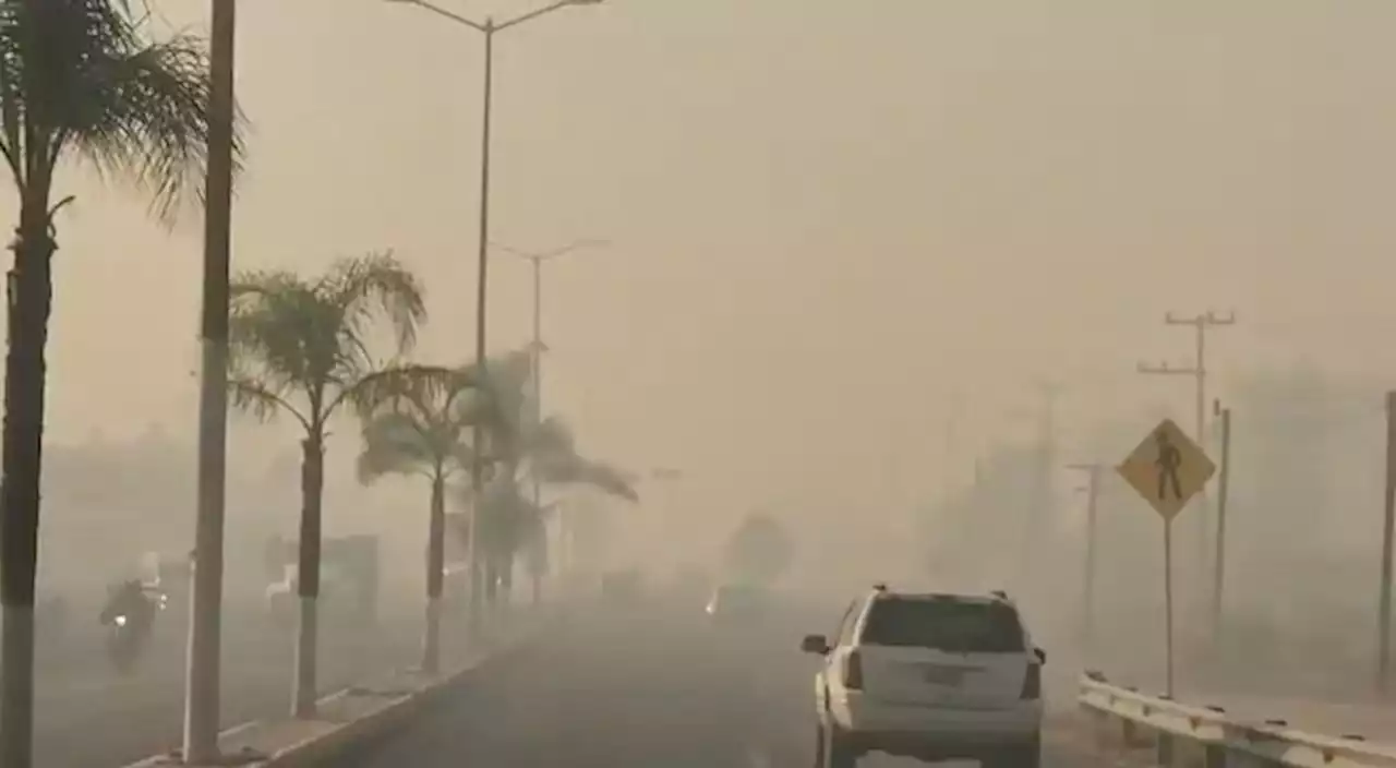 La Jornada: Guadalajara y alrededores, en crisis ambiental por incendios forestales