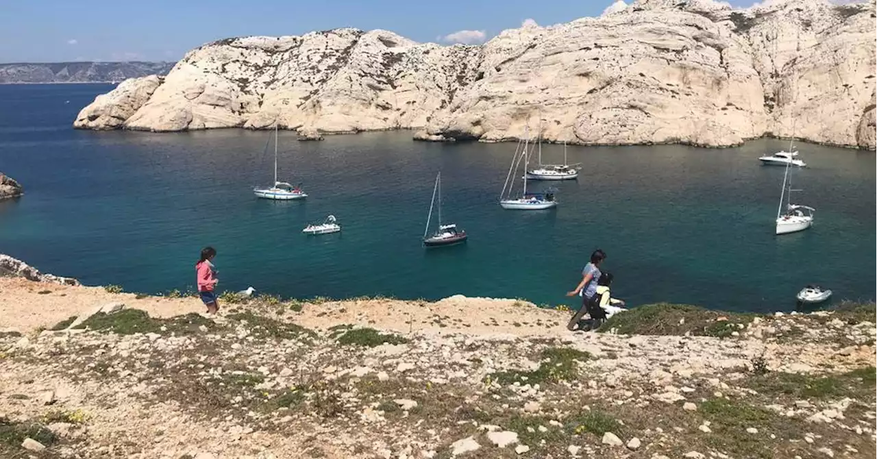 Marseille : le Frioul au rendez-vous de la nature