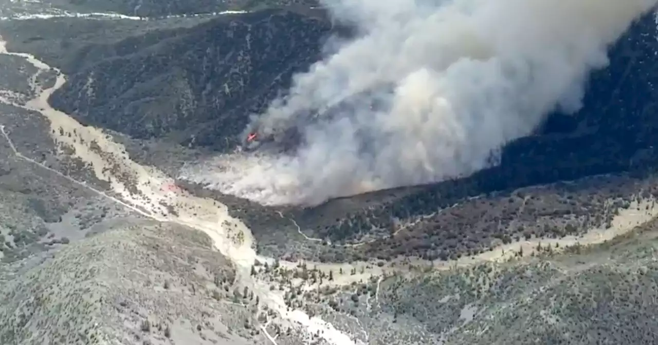 Southern California's first wildfire of season burns 130 acres in San Bernardino forest