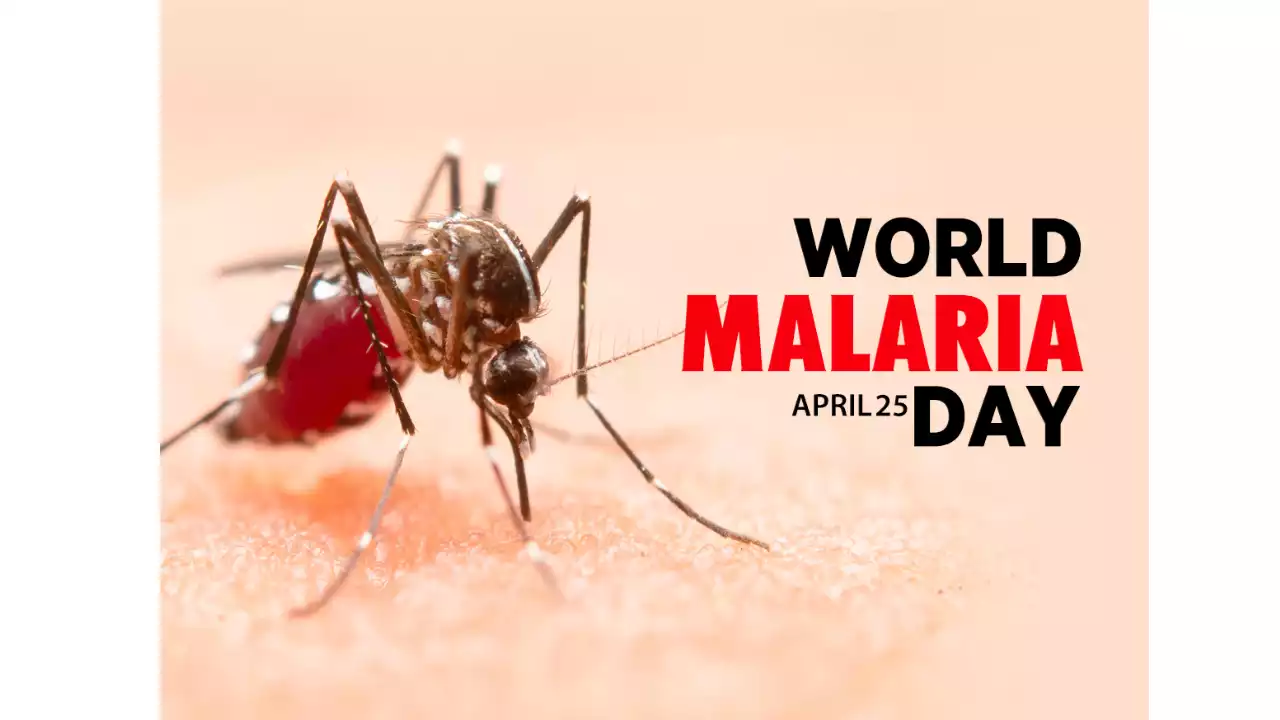 World Malaria Day: Despite Efforts, Nigeria Accounts For 32% Global Malaria Deaths