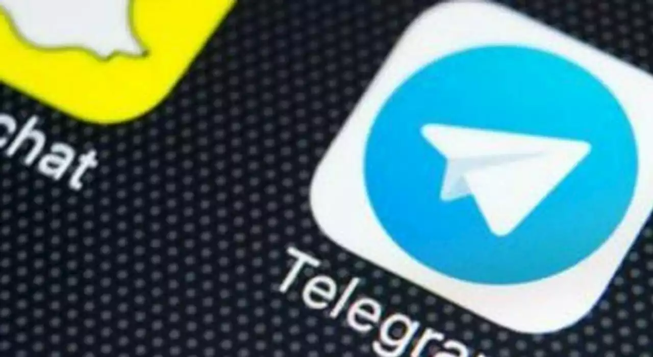 Telegram, nessun dato sul gruppo neonazista: dopo l'attentato, il Brasile sospende e multa la piattaforma