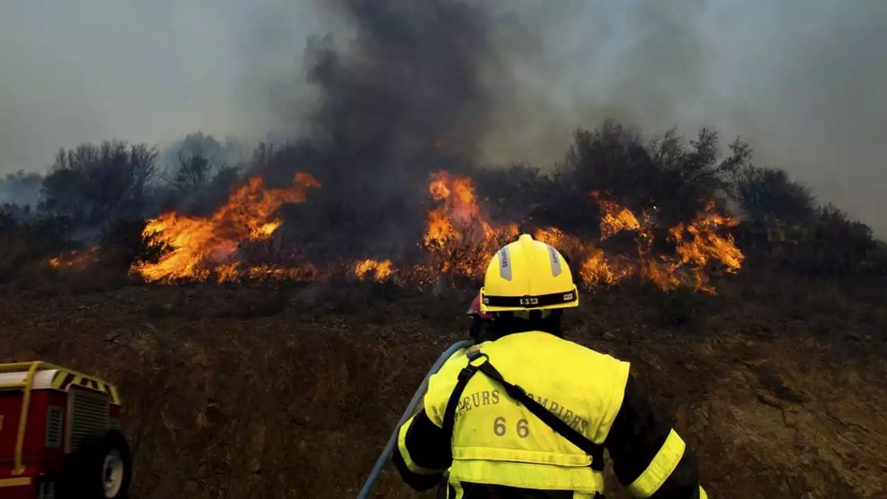 Pour prévenir les incendies, l'Etat lance une « météo des forêts »