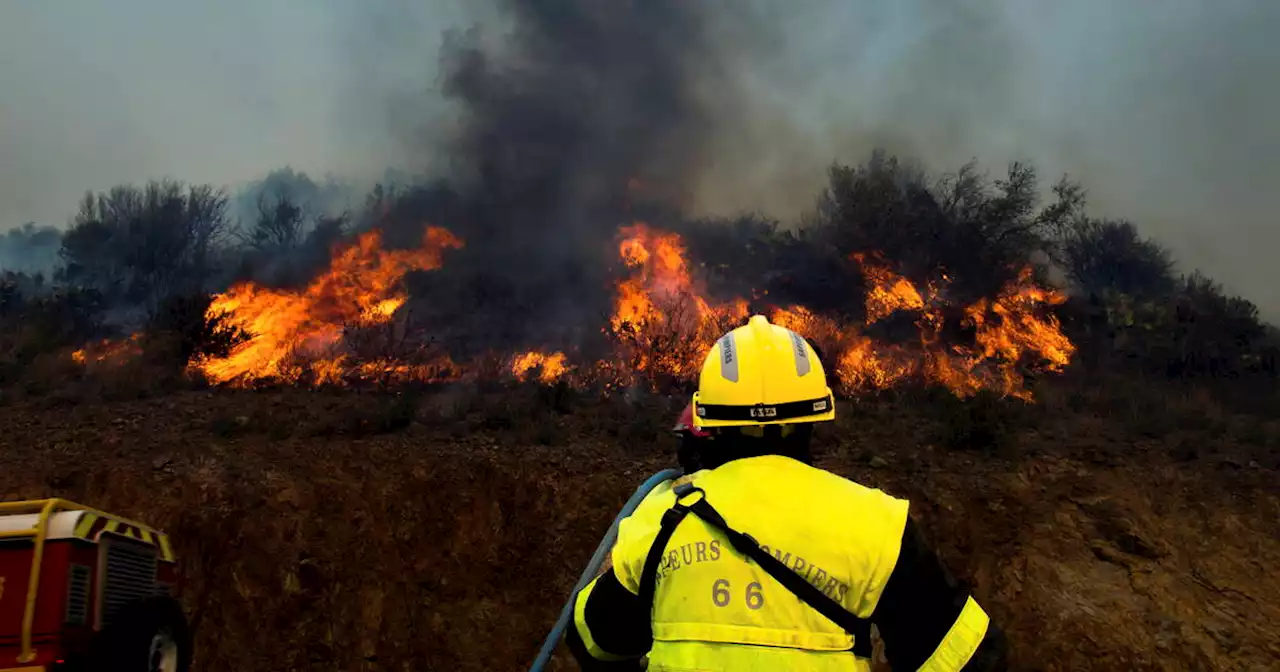 Météo des forêts : «Sensibiliser, c’est limiter l’éclosion de beaucoup d’incendies»