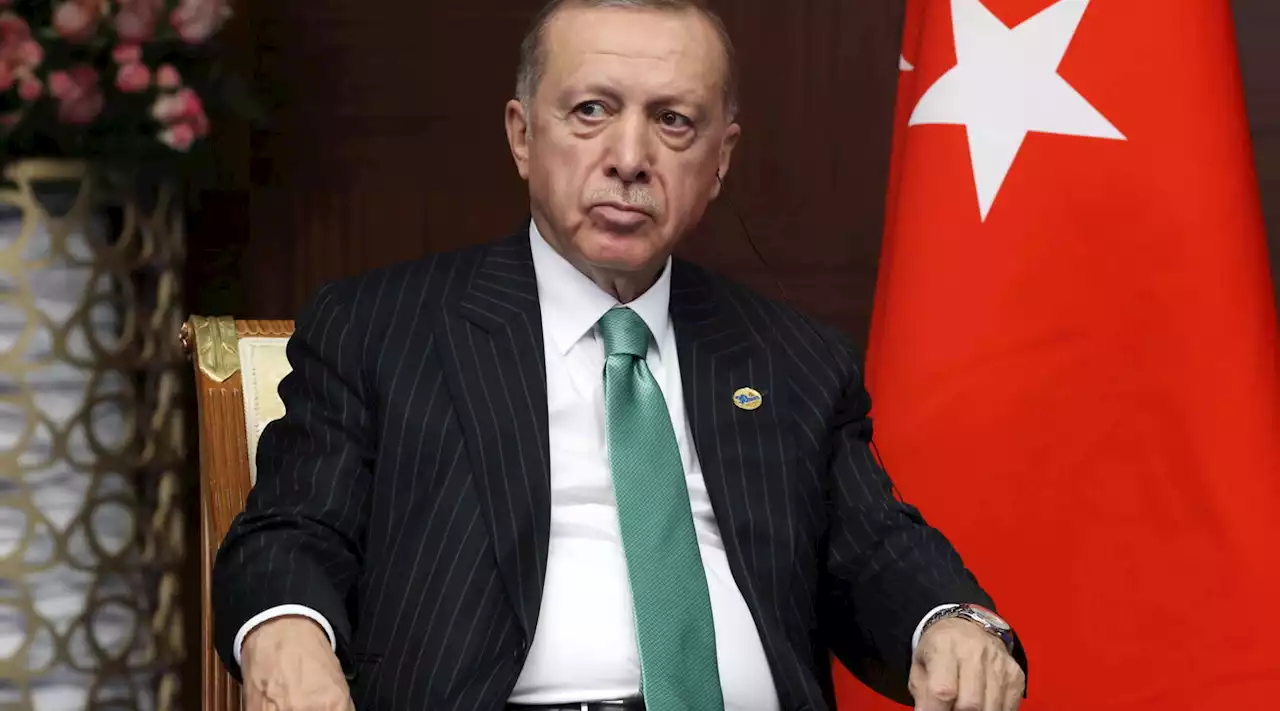 Erdogan cancella gli impegni elettorali dopo un malore in diretta tv