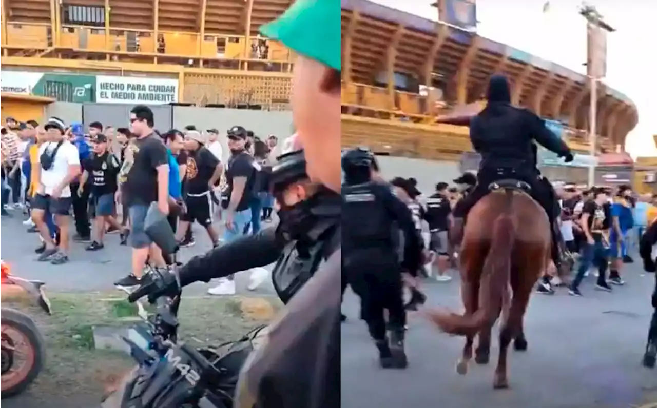 Enfrentamiento entre barra de León y aficionados de Tigres VIDEO