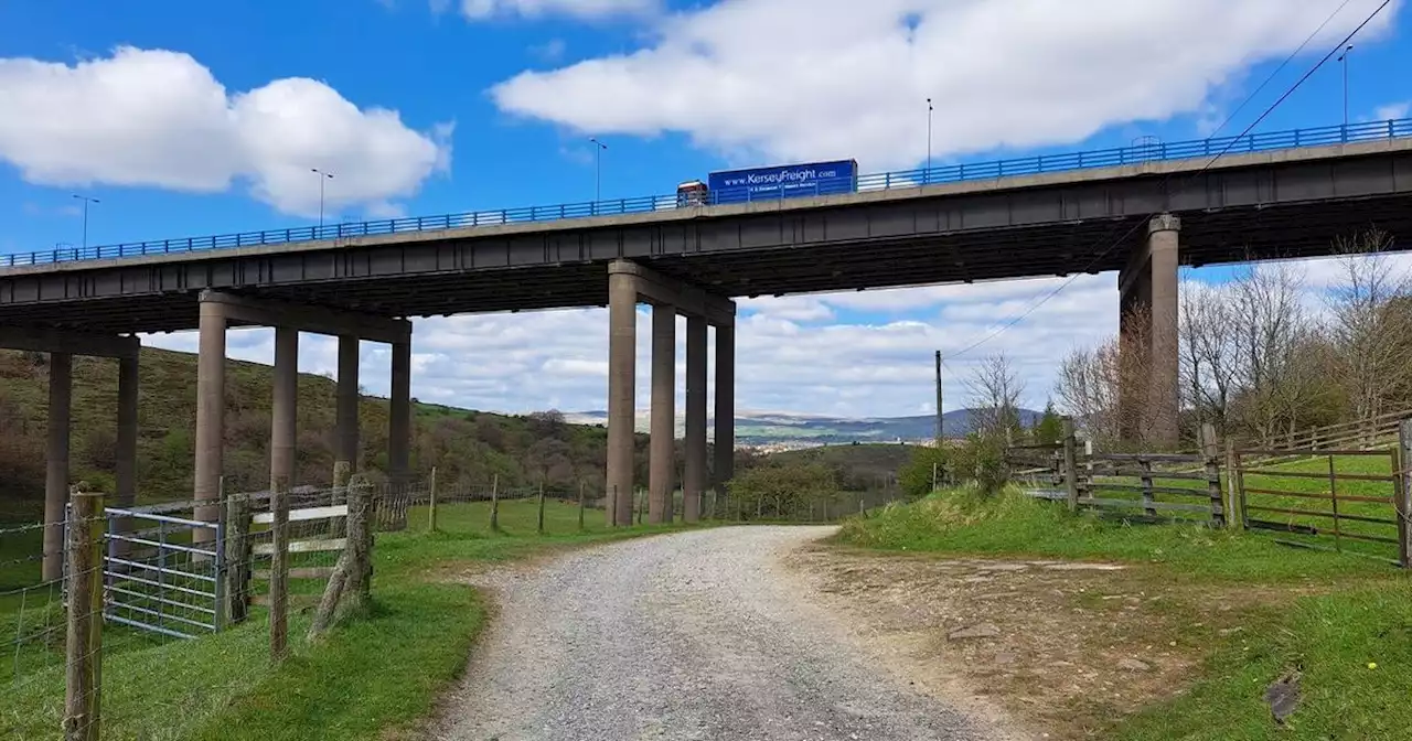 'The busiest road in the North is at the end of our garden'